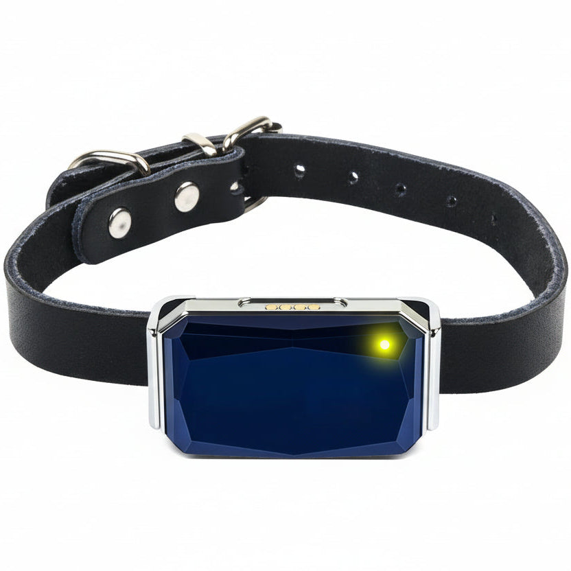 LocaPet Premium GPS Tracker for Dogs and Cats - Real-Time Location &amp; Security