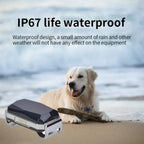 LocaPet Premium GPS Tracker for Dogs and Cats - Real-Time Location &amp; Security