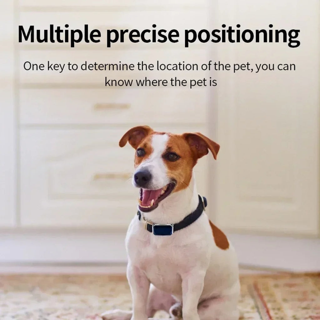 LocaPet Premium GPS Tracker for Dogs and Cats - Real-Time Location &amp; Security