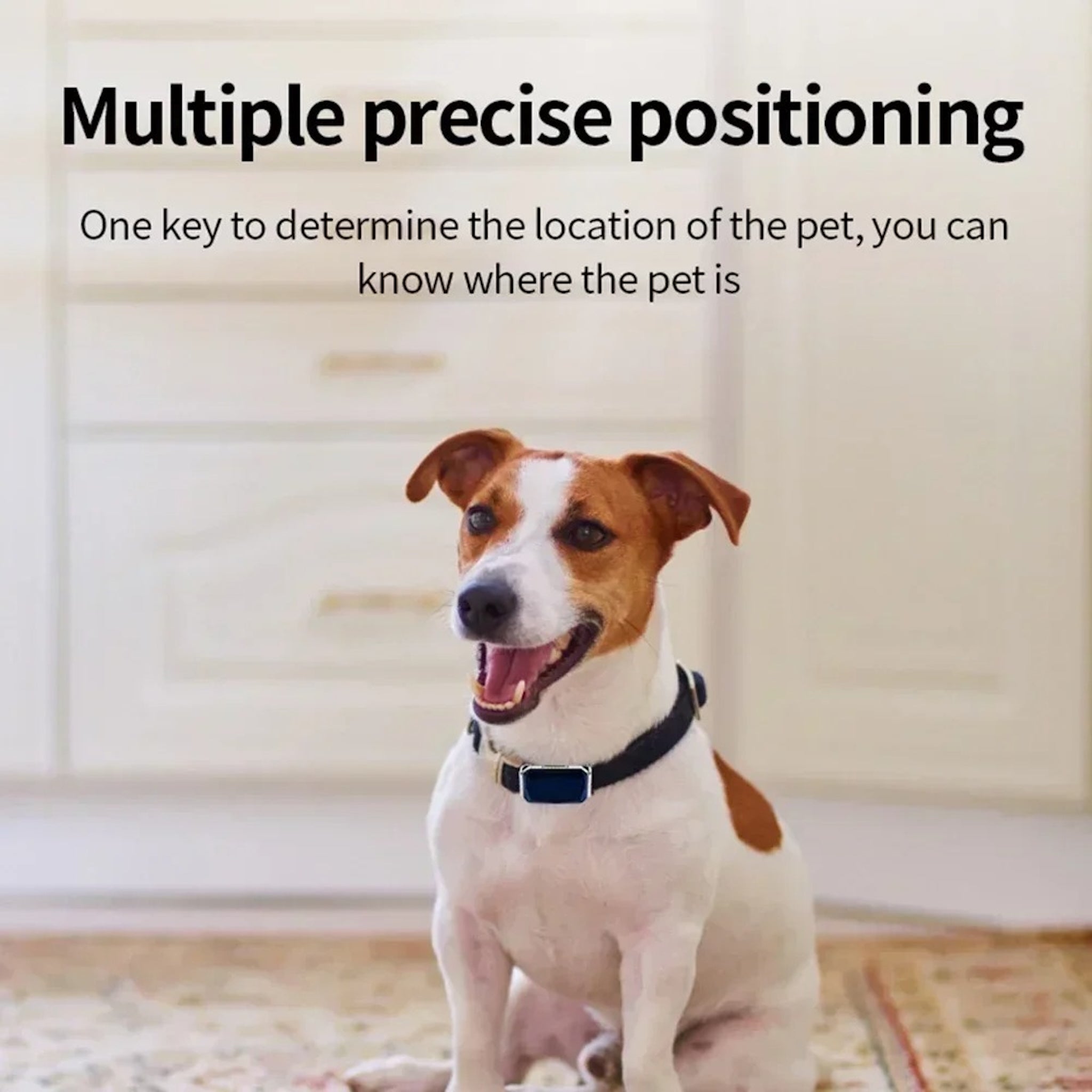 LocaPet Premium GPS Tracker for Dogs and Cats - Real-Time Location &amp; Security