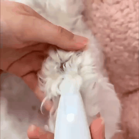 PooTrim - Professionele Precisie Trimmer